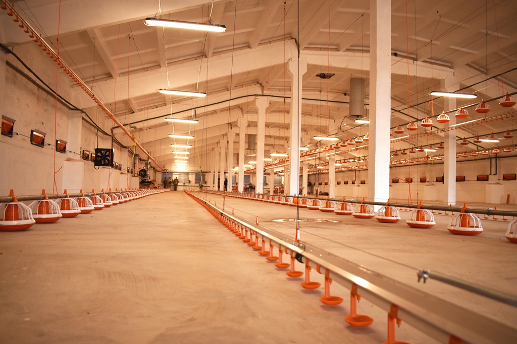 Агрохолдинг «ДолговГрупп» запускает бройлерную птицефабрику