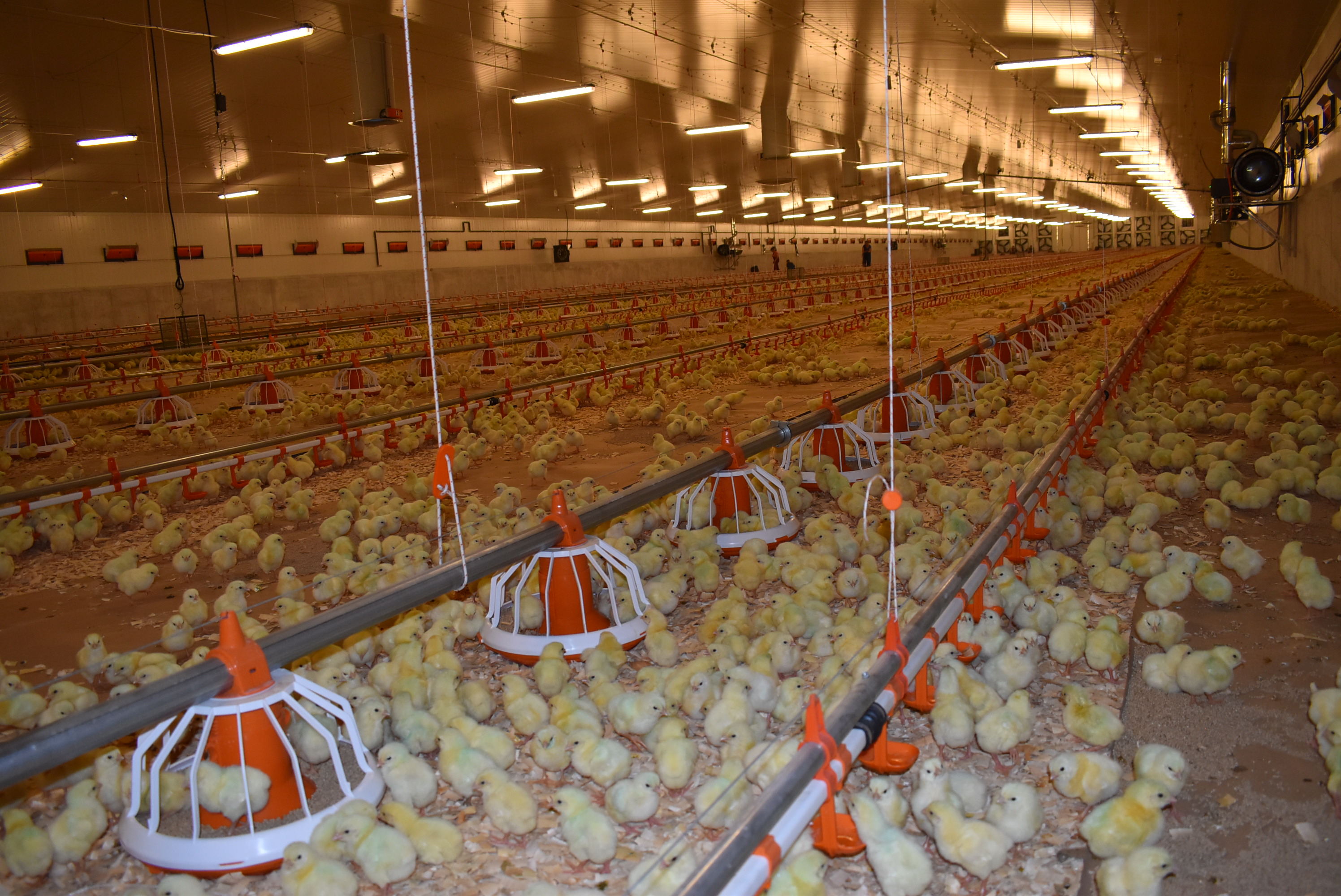 А у нас – новоселье!