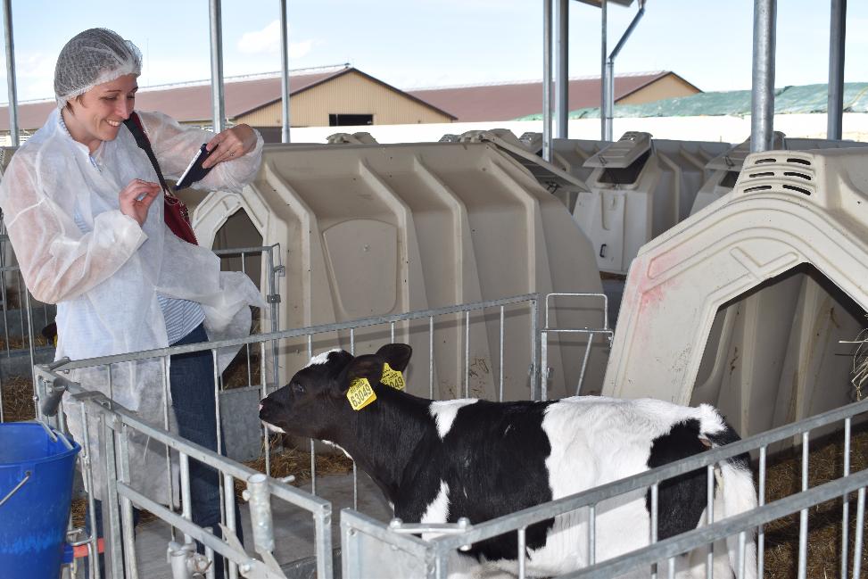 «ДолговГрупп» - достойный конкурент в АПК на Северо-Западе