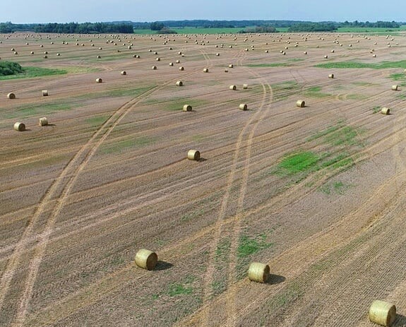 В агрохолдинге «ДолговГрупп» завершена уборочная кампания зерновых культур