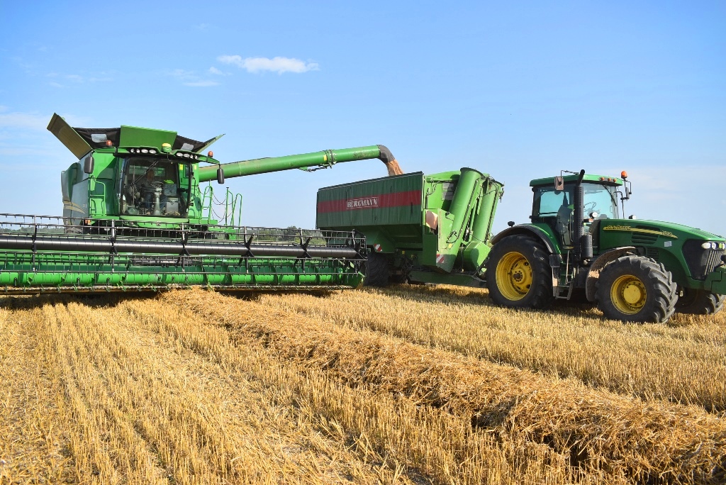 Почти 200 тысяч тонн зерна собрал агрохолдинг в 2018 году