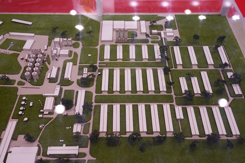 «ДолговГрупп» построит новый завод по переработке яиц