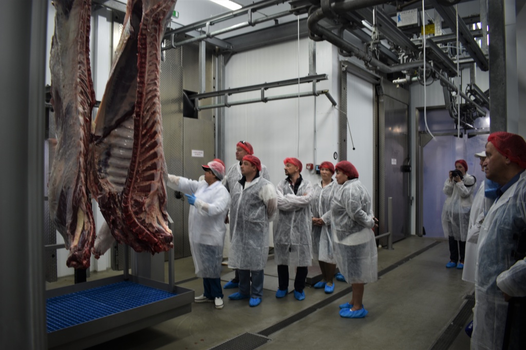 мясозавод (1).JPG