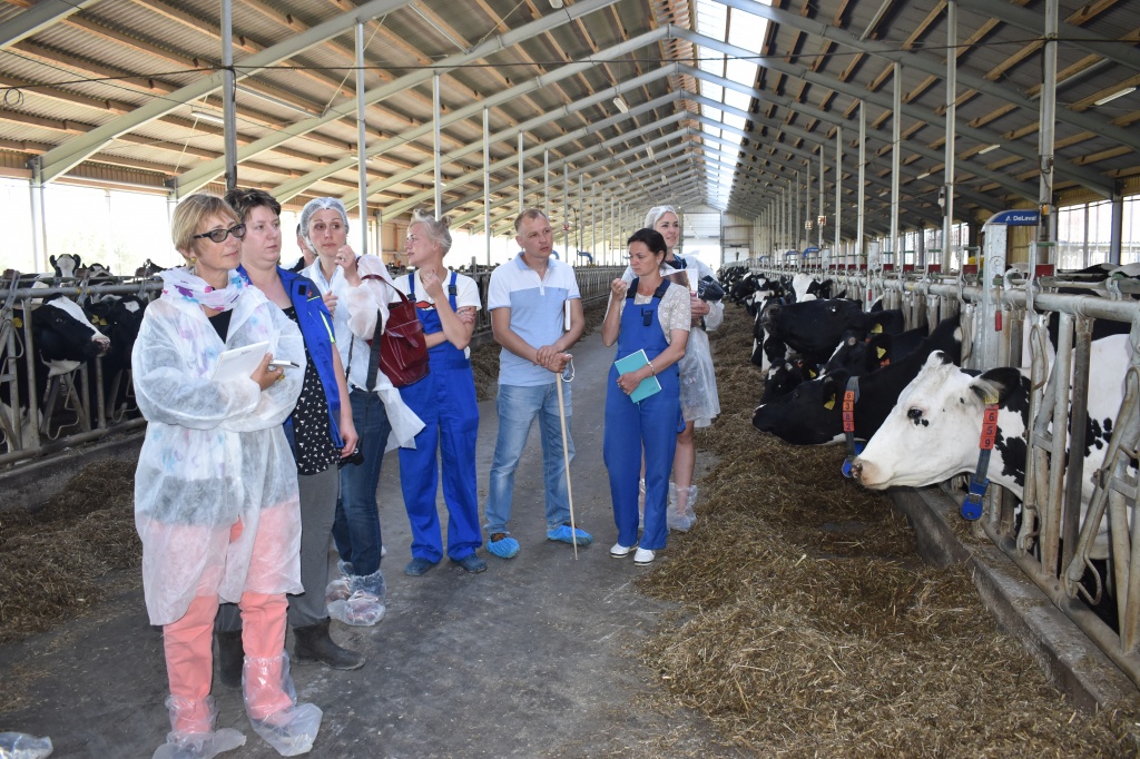 коровники (1).JPG