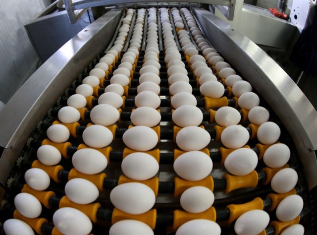 В 2018 году «Птицефабрика Гурьевская» произвела 215 млн яиц