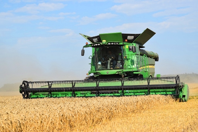 Почти 200 тысяч тонн зерна собрал агрохолдинг в 2018 году