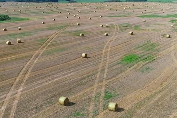 В агрохолдинге «ДолговГрупп» завершена уборочная кампания зерновых культур